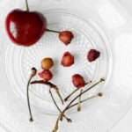 Animal qui fait des crottes avec noyaux de cerise